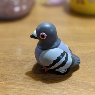 とりちゃんくん。@always愛鳥