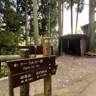 歩きやすいわぁ