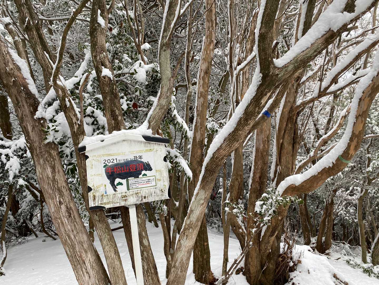 牛松山 往復コースの写真