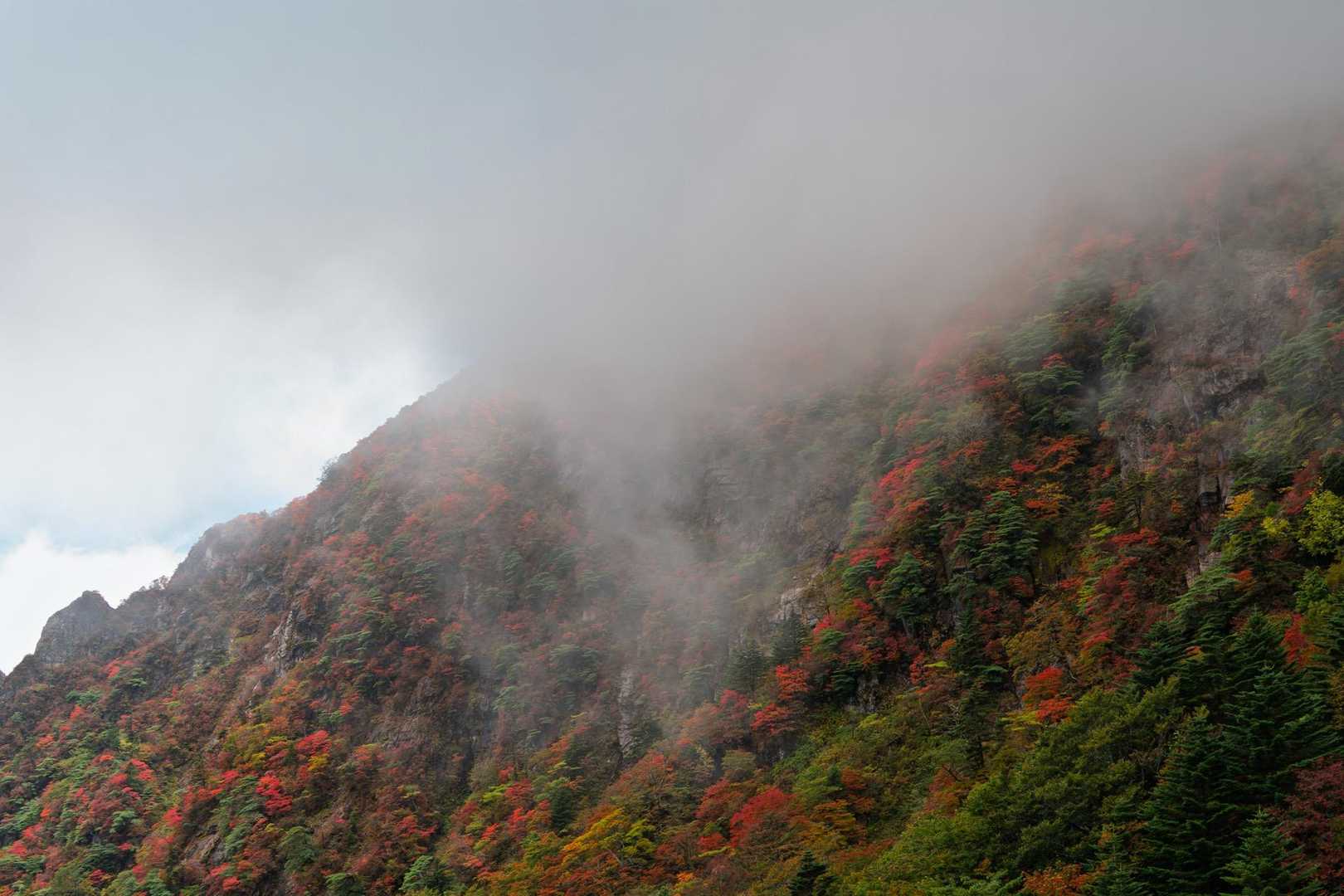 山肌を彩る紅葉に、やわらかなガスがそっと降りてきて