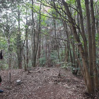 雲野尾峠
YAMAP1652座目
■雲ノ峠
等級 :　三等三角点
緯度 :　33.382984278
経度 :　130.460082917
標高 :　400.0m
COD :　TR35030035601
場所 :　佐賀県鳥栖市
訪問 :　2026年3月29日