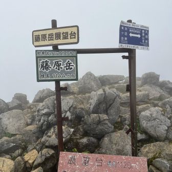 ⛰️藤原岳1144m眺望残念😢