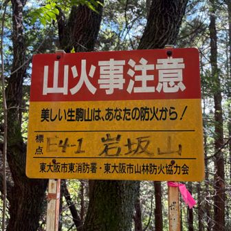この付近が岩坂山の山頂かな？
立ち止まると蚊がまとわりついてきます🦟