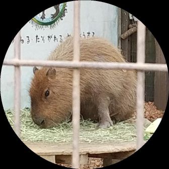 佑紀 -Yuuki-