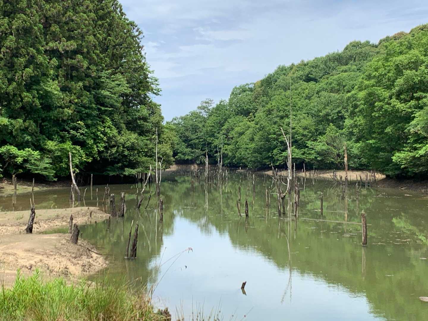 大正池🥰水は半分くらいかな？