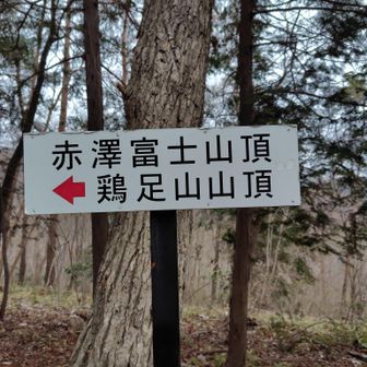 赤澤富士にも行ってみました
眺望はありません
鶏足山頂で下地になっていた
「赤澤山頂」から「赤澤富士」に作り直したってことなんでしょうか