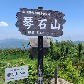 山頂到着です。