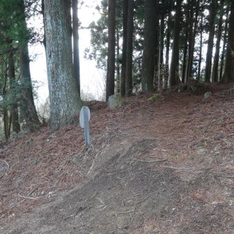 矢下に向かう道に入ります。登りの時より、こちらの道の方が歩きやすかったです。