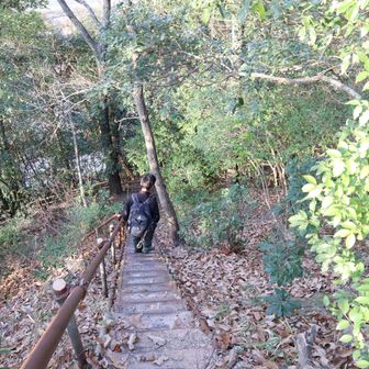 ゴールは階段‼️広島南アルプスの草津沼田道路に降りるところを思い出した。