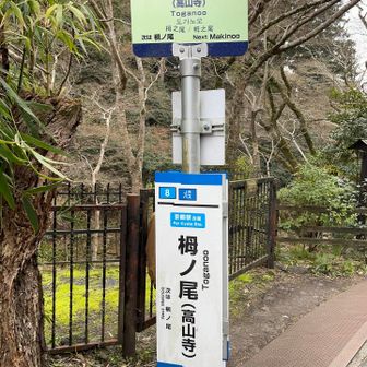 栂ノ尾バス停🚏
対面に高山寺の山道があります⛰️
ここからは20分に一回バスが出ています🚌
JRバスはJR京都行き、市バスは四条烏丸行き🧐
今回はJRバスに乗れたので仁和寺、龍安寺、立命館大学、四条大宮を経て終着の京都まで乗車しました🚌
隣の槇ノ尾から結構乗ってきたので始発の停留所まで引き返して正解でした🤭