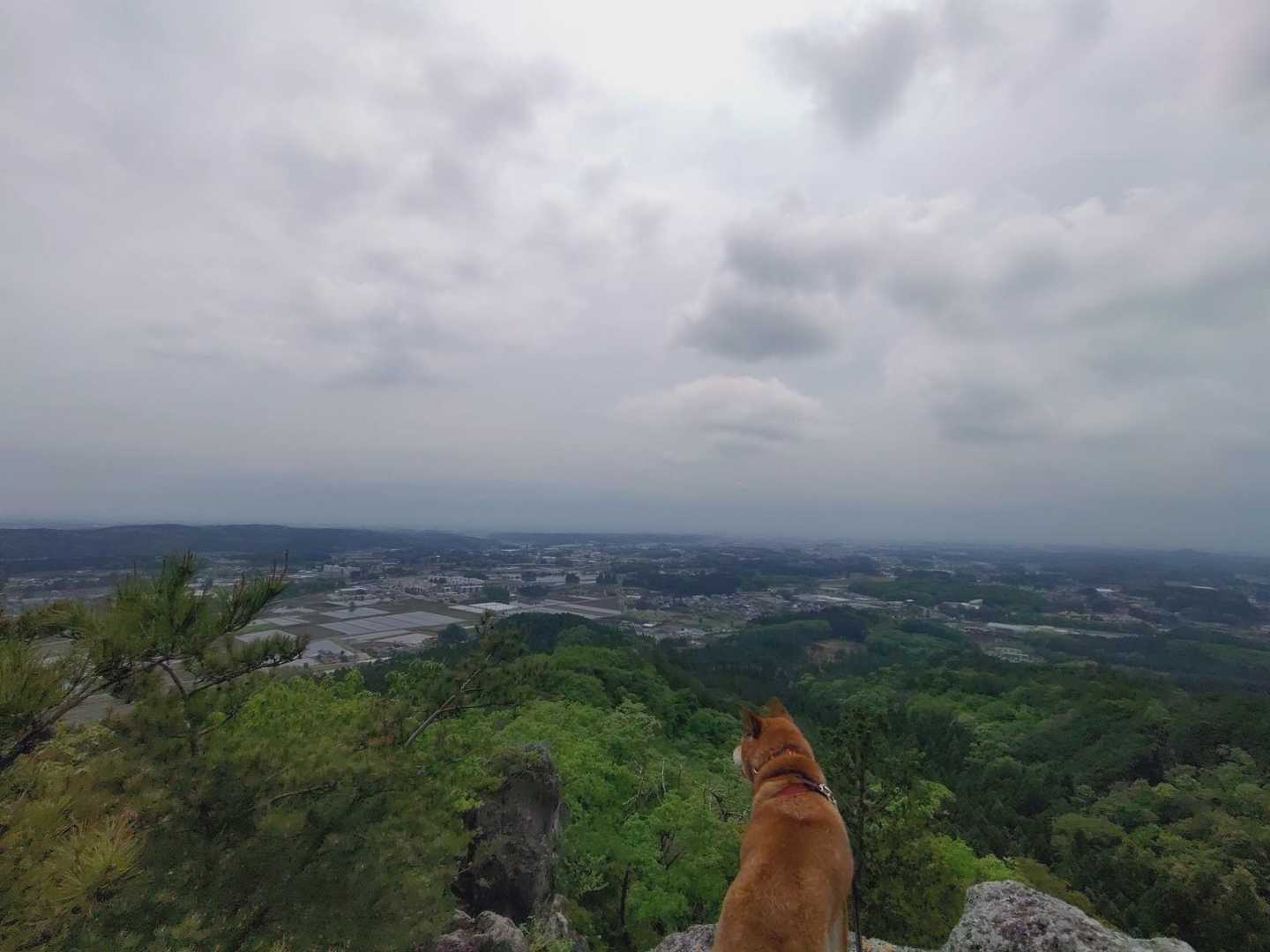 下町を見下ろす。
今日もイイ日かな🐕🎶