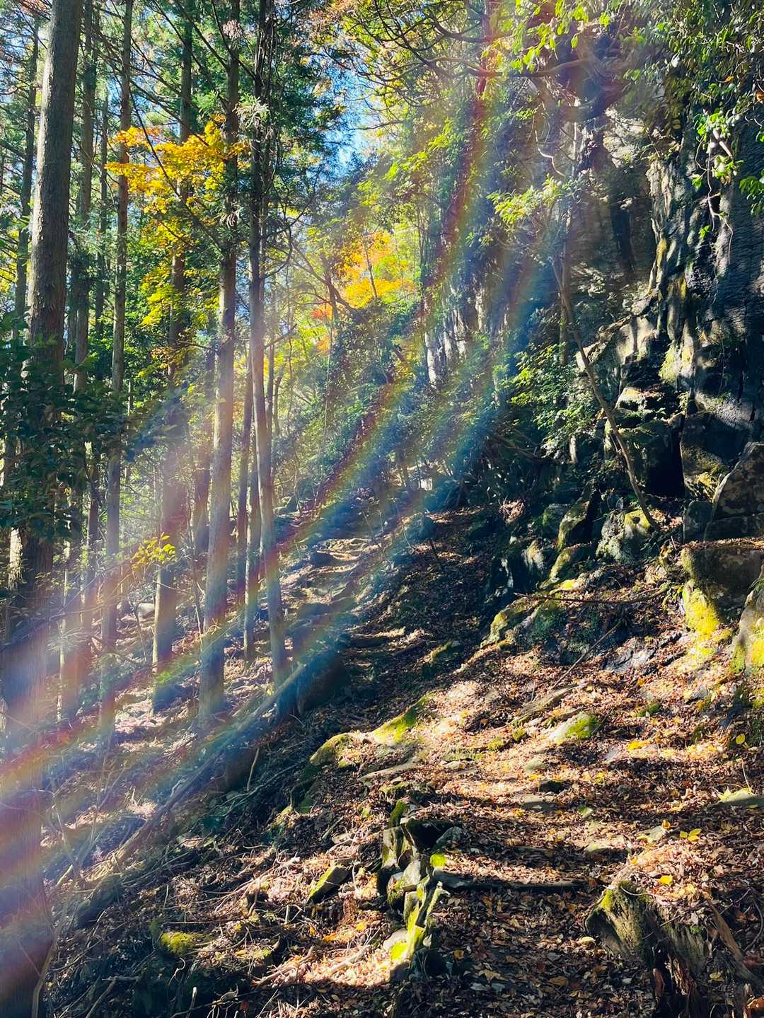 求菩提山 周回コースの写真