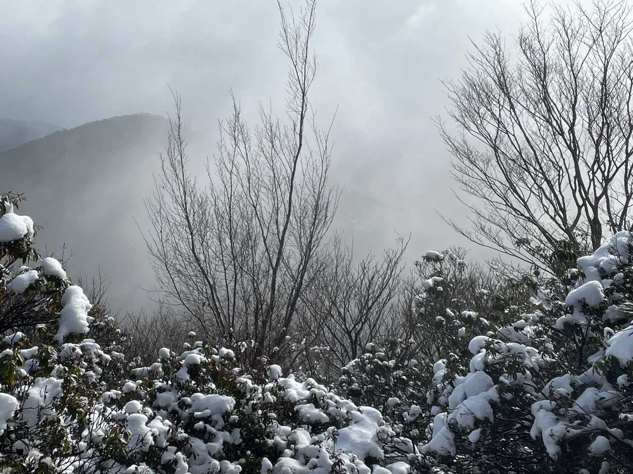 高畑山（兵庫県朝来市）の写真
