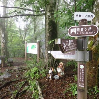 貸切の山頂に到着
この先の天子ヶ岳は次回