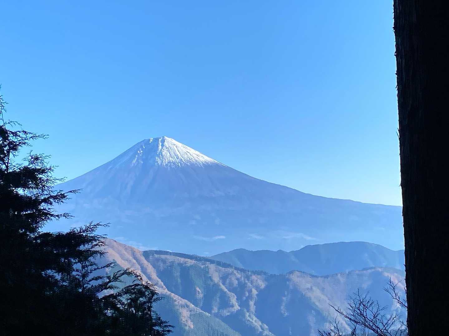 途中のスキマから富士山どーん🗻