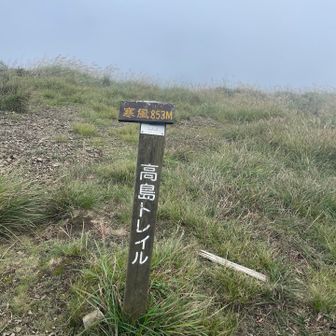 山頂。見えるのは真っ白