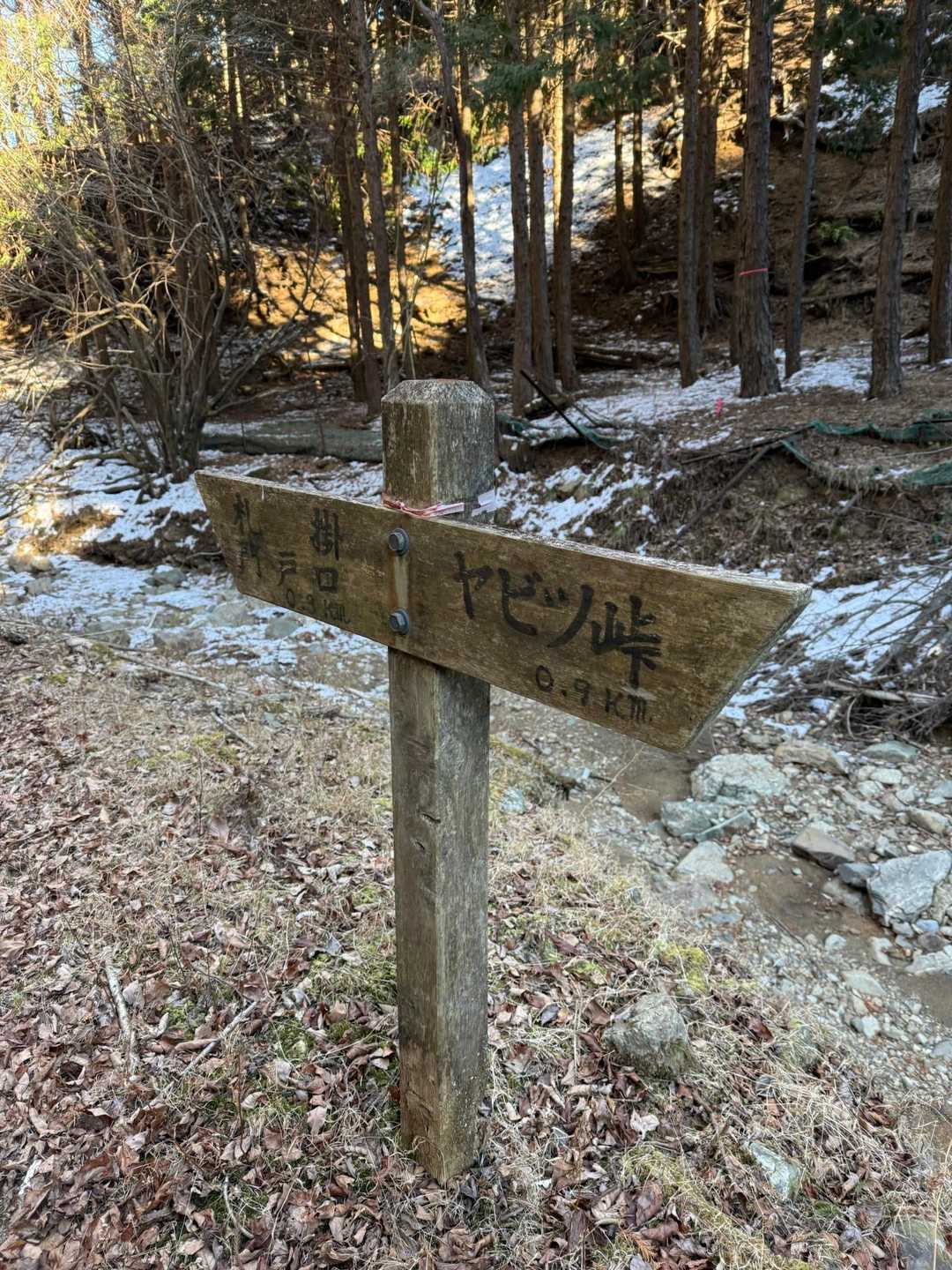 ヤビツ峠-旧ヤビツ峠-岳ノ台-菩提峠-表尾根縦走コース登り 周回コースの写真