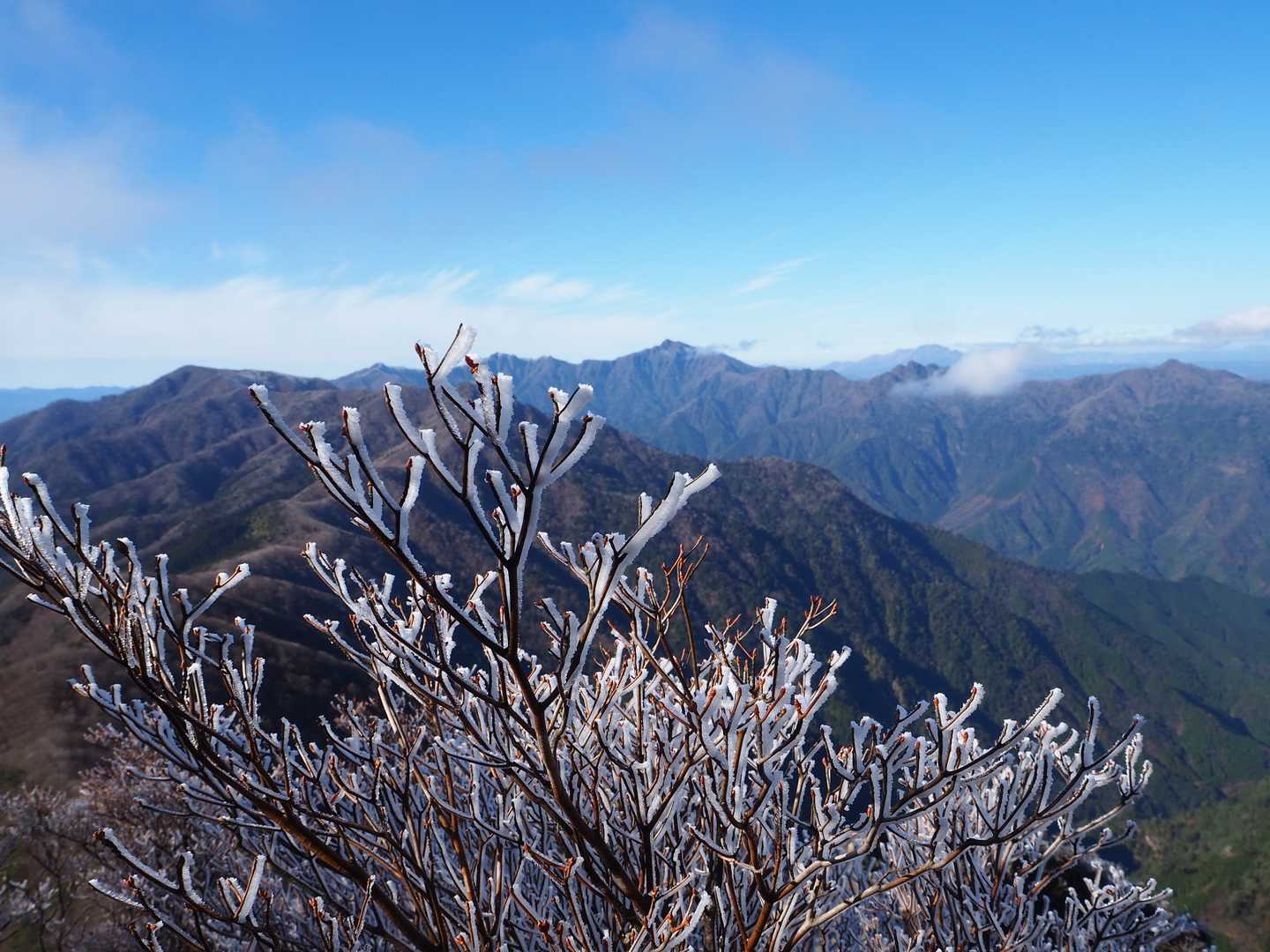 杉ヶ越登山口-傾山 往復コースの写真