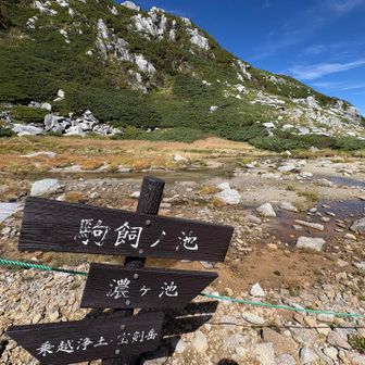 ほとんど枯れてる。雨降ると池になるのかな