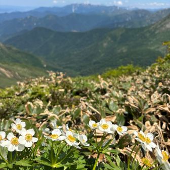 あとは仙ノ倉山まで登り返せばきついのは終わりです😅。