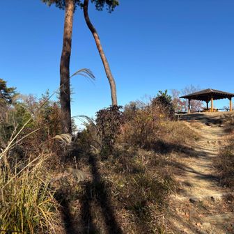 歩みを進めた先に立派な東屋を発見！💡
テーブルベンチもたくさんありました✨