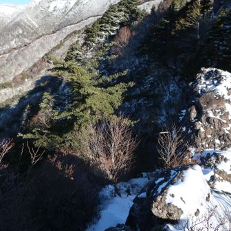 景色が開けました