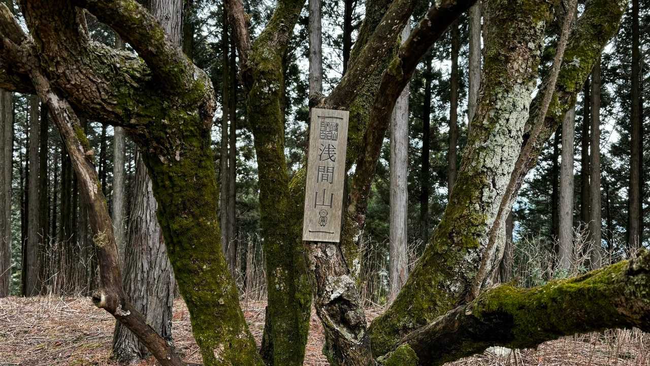 大山（ヤビツ峠〜大山〜鶴巻温泉）縦走 の写真 30