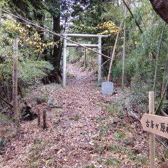 右が山頂だが、左の「古峯ヶ原神社」大峯山の山頂へ立ち寄ってみる。