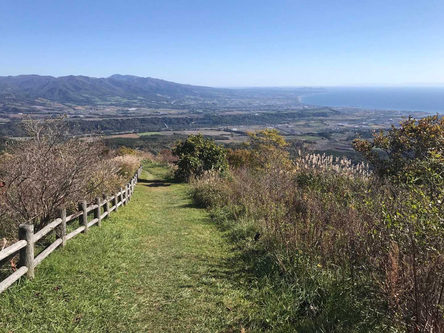 遊歩道を戻ります。