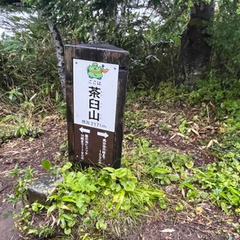 茶臼山頂