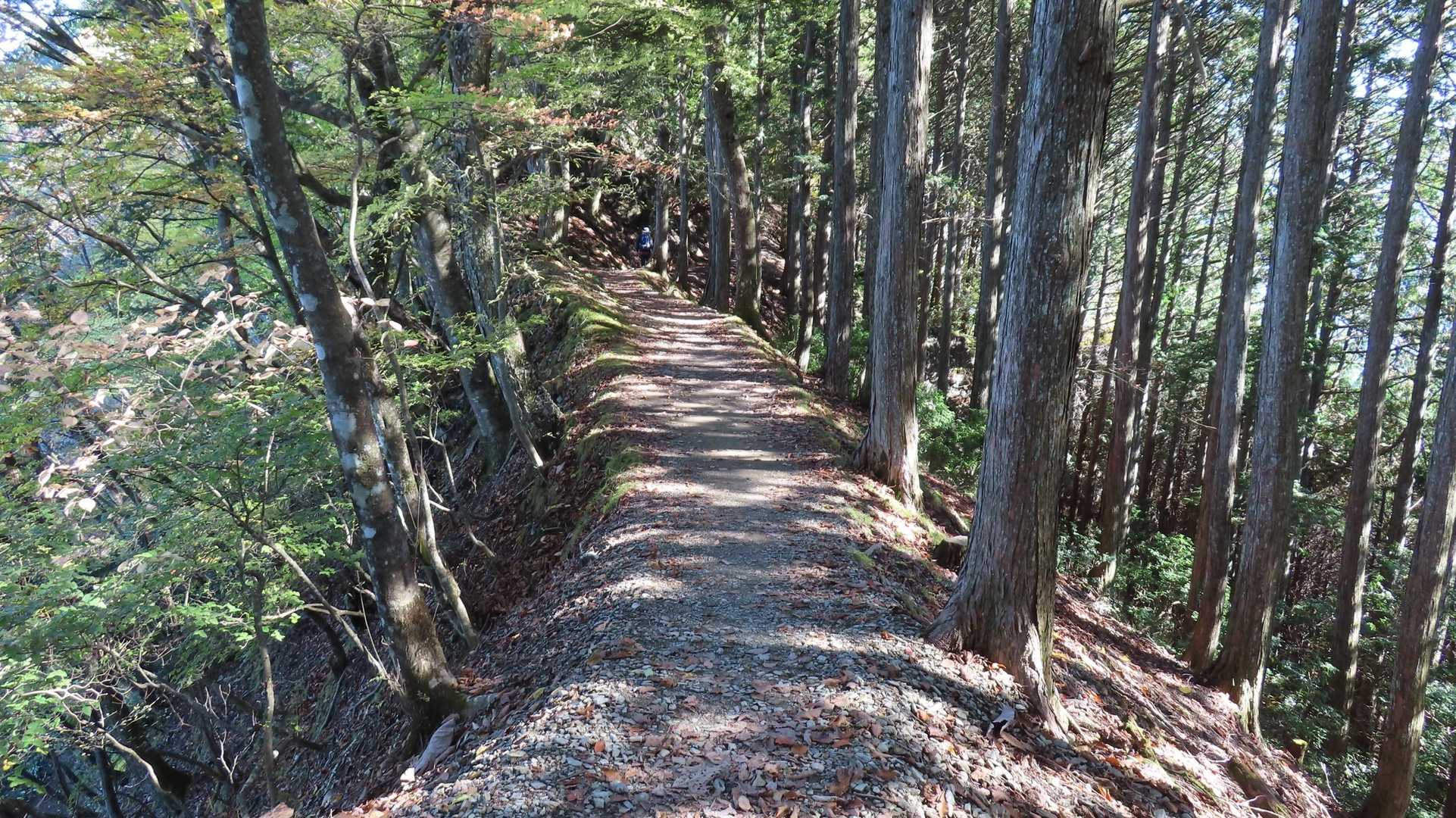 痩せ尾根