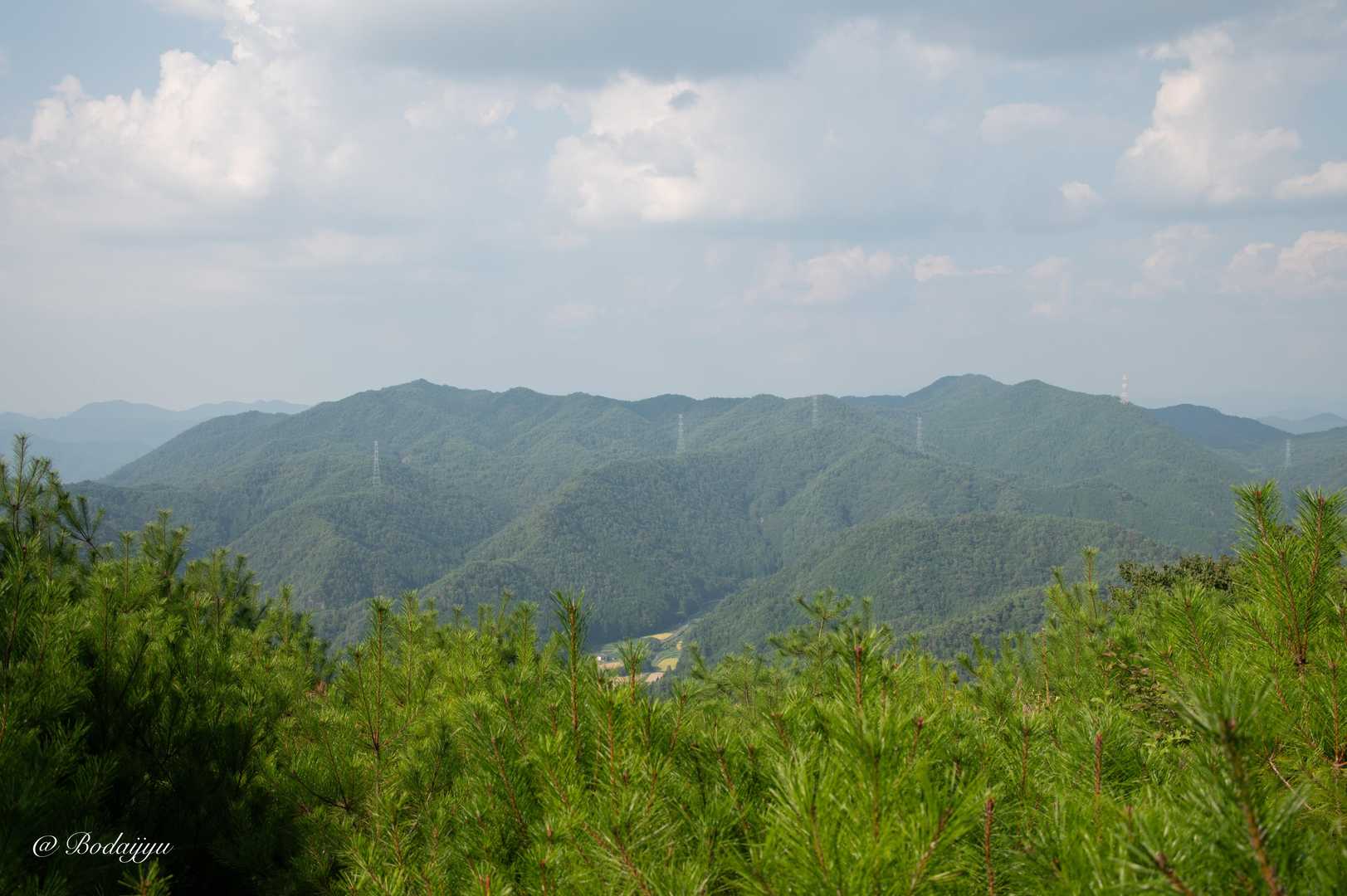 上の山-大野山 周回コースの写真
