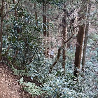 かびれ神宮が小さく見えました⛩