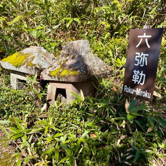弥勒菩薩