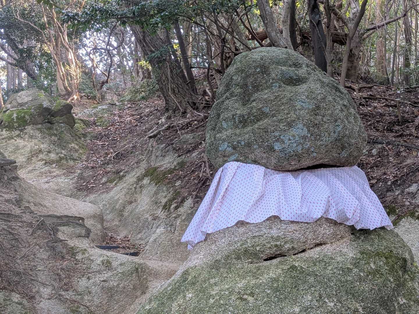 ギャザーが入ってる
おしゃれになったね