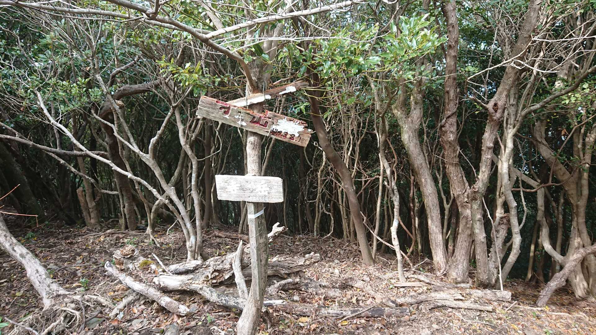 寺岳到着！展望はありません！