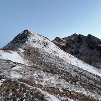 今日は行かない