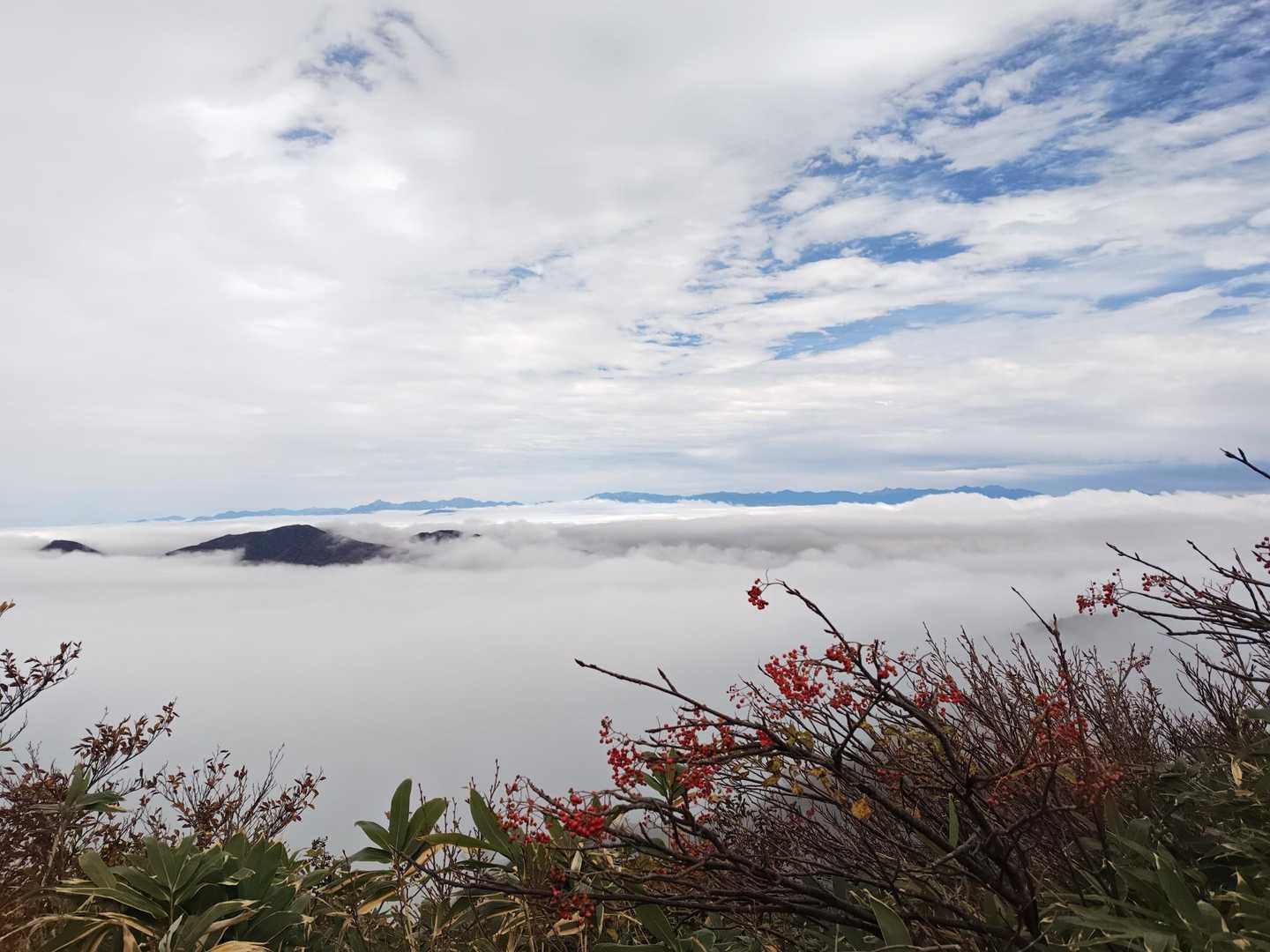 栃谷登山口-片折岳-金剛堂山 往復コースの写真