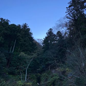 帰りは聖宝寺ルートで下山。かなり歩きにくいし見どころは最後の滝だけど迫力も微妙