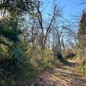 🦮散歩の地元民と話しながら🐾