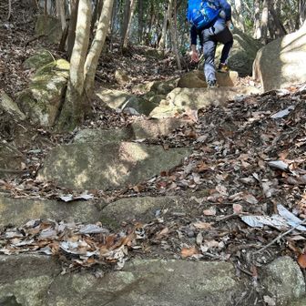 息も切らさず登る婿殿。