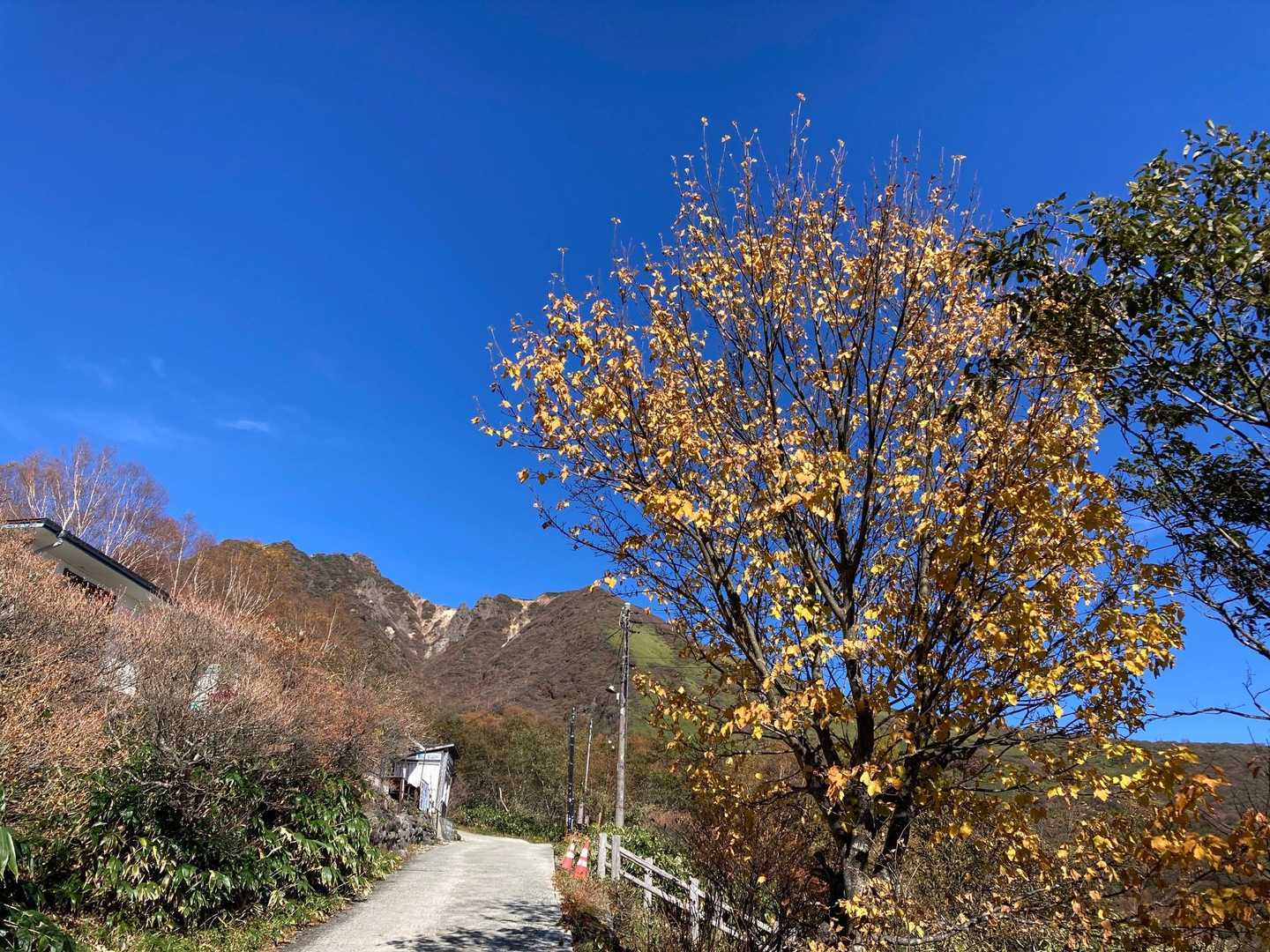 スカッと青空🥰
右側に駐車場　ほぼ満車です
左側に峠の茶屋　この時間はまた開店していませんでした