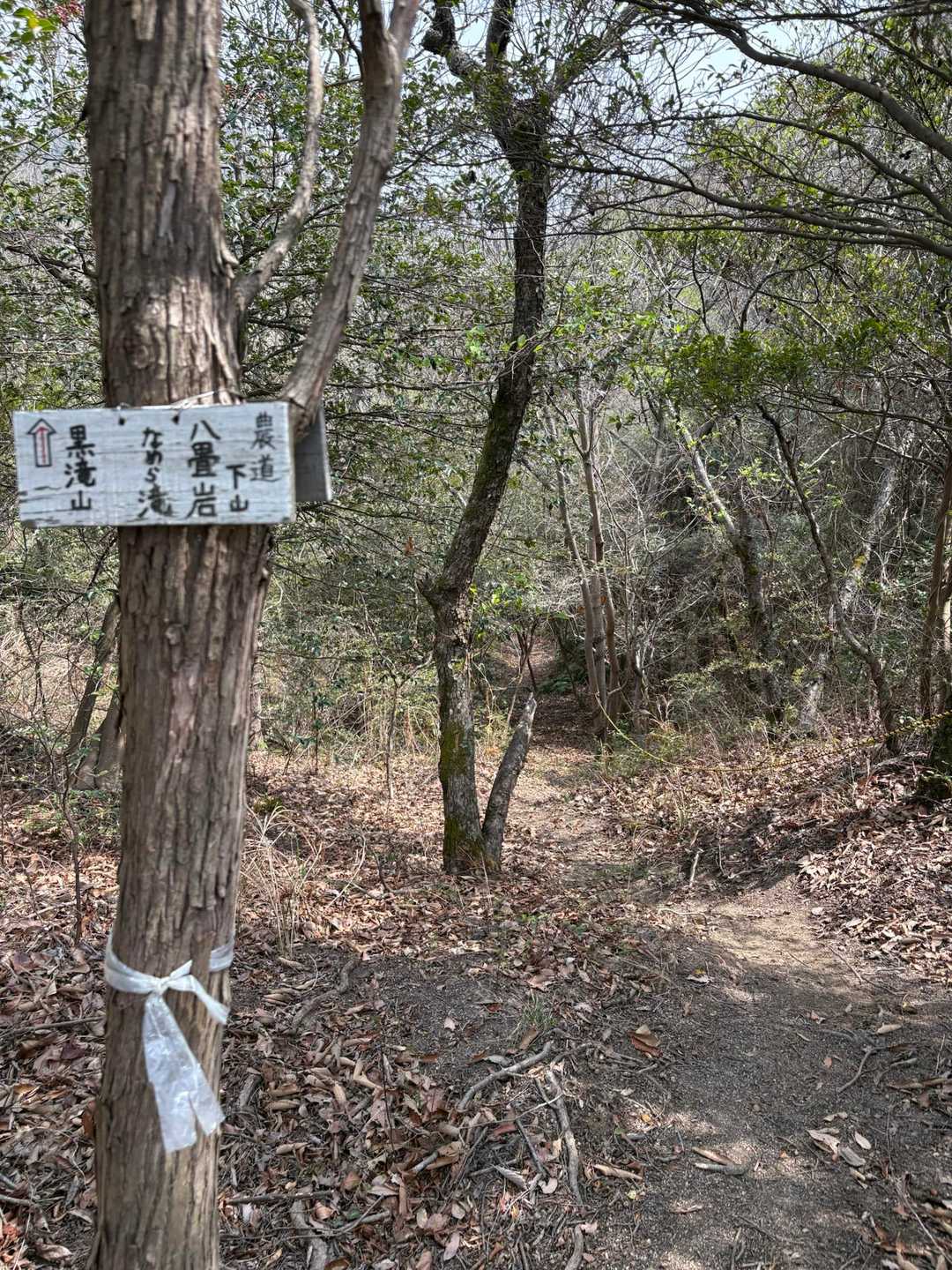 こちらへ下山⬆️