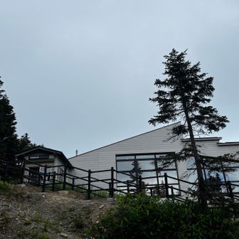 そのままロープウェイ乗場まで下山してきました
YAMAP終了〜😗🫱⏹️

お！そーいえば！🫢