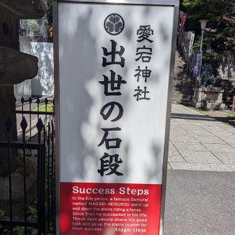 丸亀藩家臣の曲垣平九郎が家光公の「坂の上の梅を誰か取って参れ」というワガママのためにこの急坂を騎馬で駆け上がって名を馳せたことからこう呼ばれるようになったそう🐎