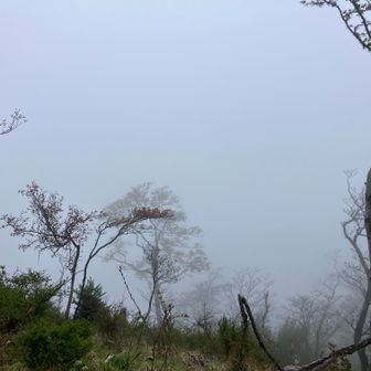 74、畦ヶ丸へ⑥