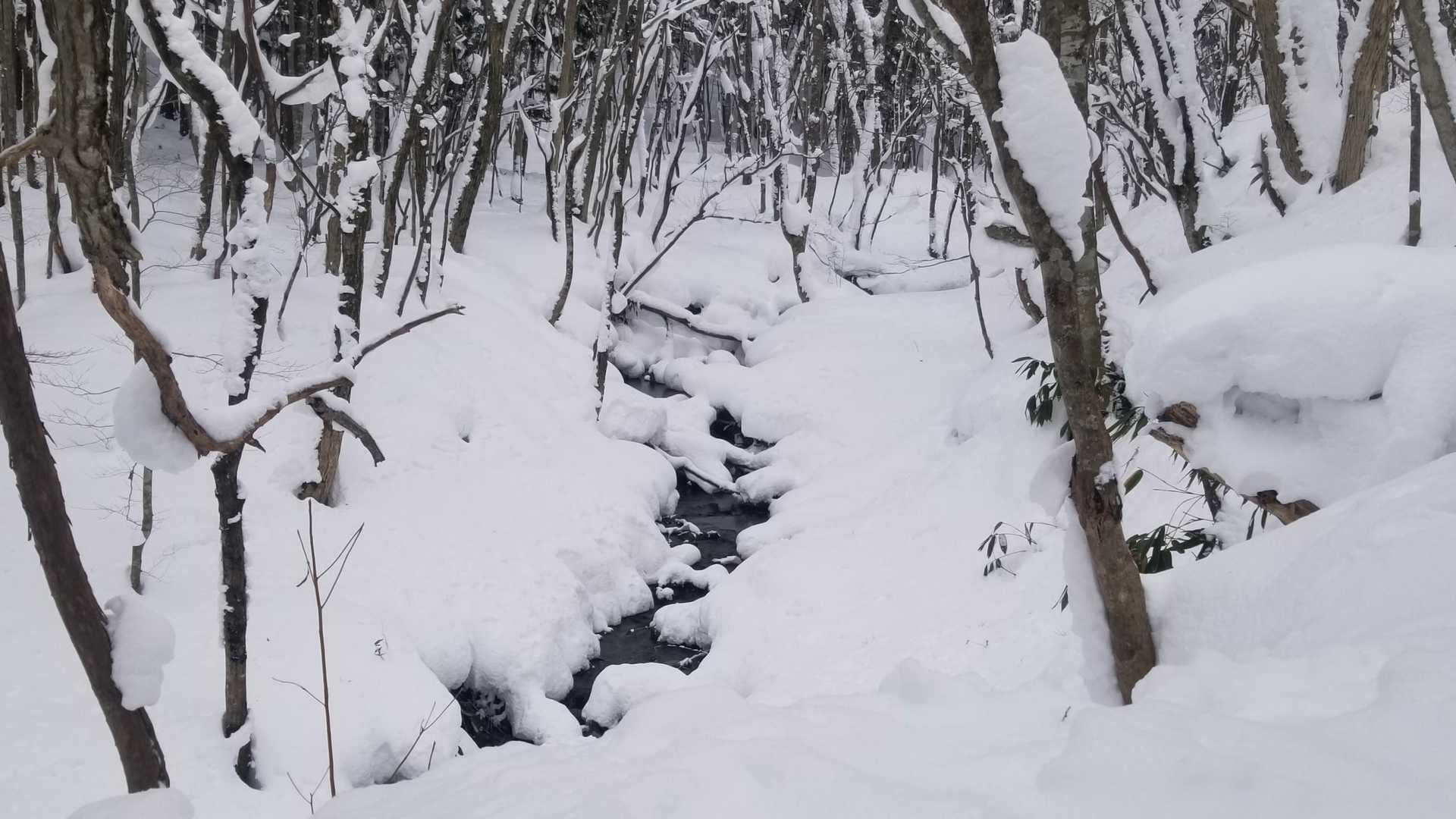 毛無山-出雲峠 周回コースの写真