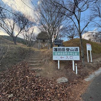 落ち葉がすごい