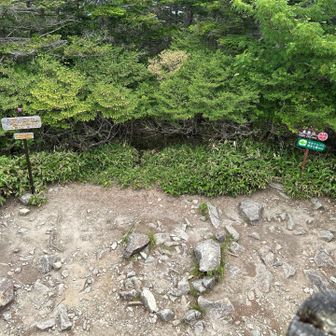 展望台（？）からの景色