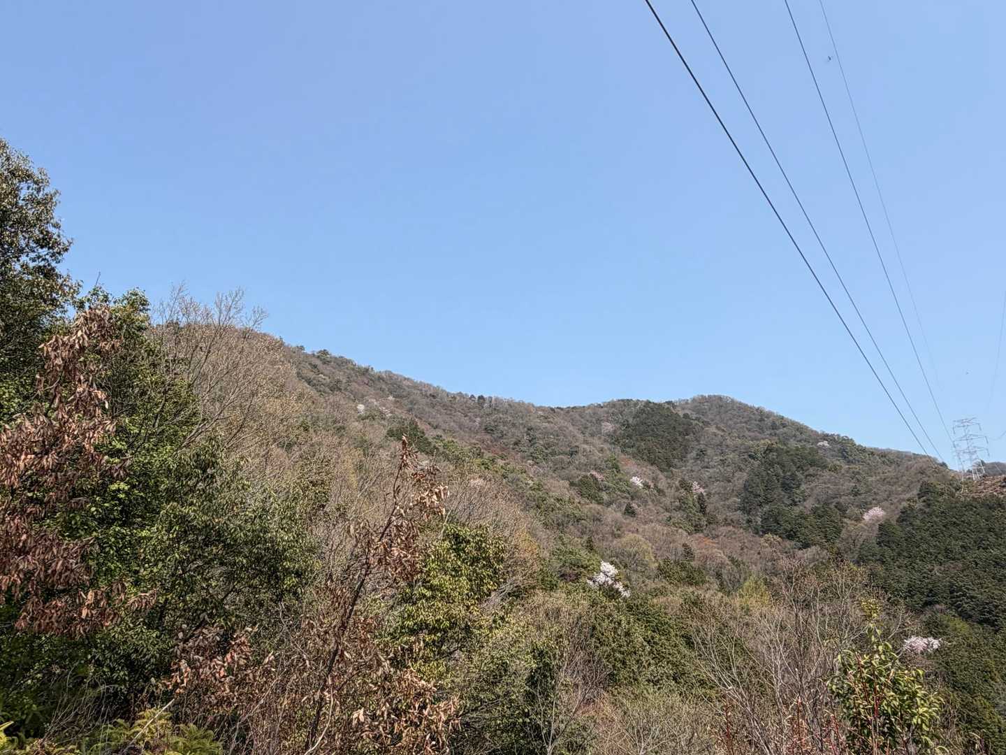 登った山
左 滝谷山
右 雁又山